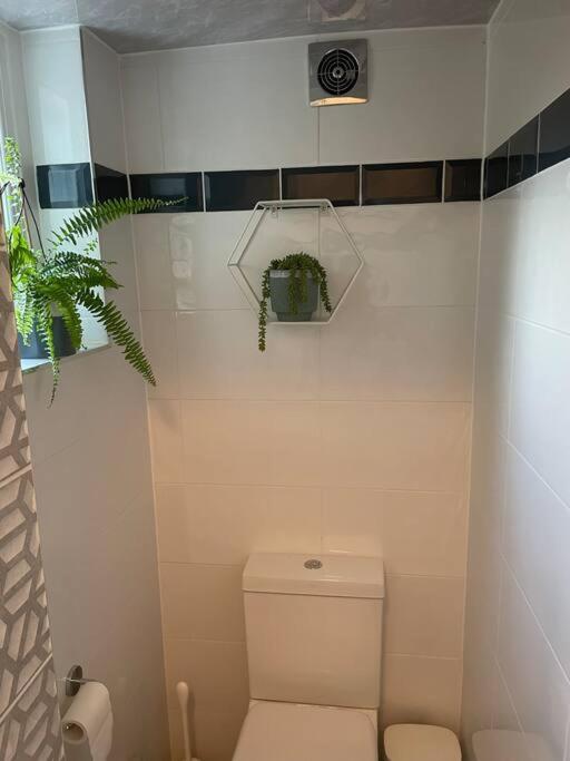 West London Stunning Garden Flat - Period Features Apartment Luaran gambar